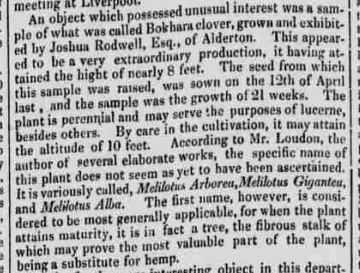 Joshua R exhibits his Bokhara Clover 1841